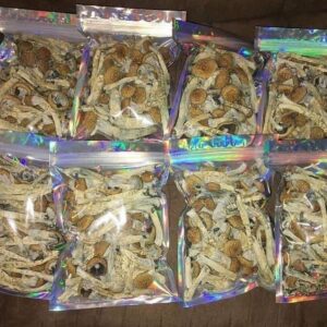 Purchase shrooms Geneva Switzerland