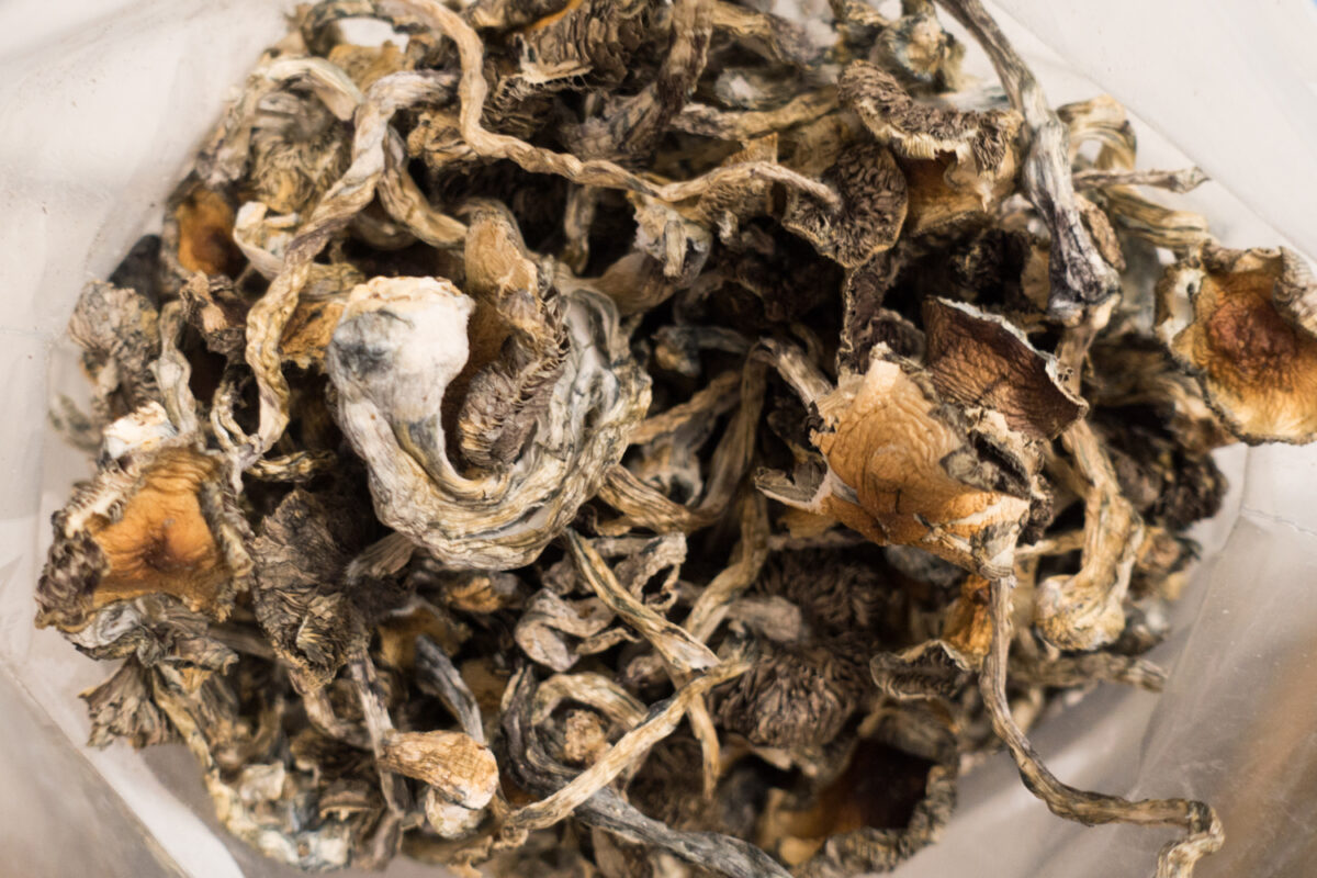 Buy Blue Meanie magic mushrooms for sale in Europe