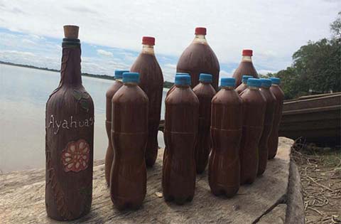 Ayahuasca Tea for sale near me Europe Ayahuasca Tea for sale near me Europe